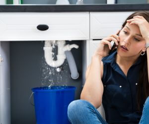 About Emergency plumbing pros Whitt, TX
